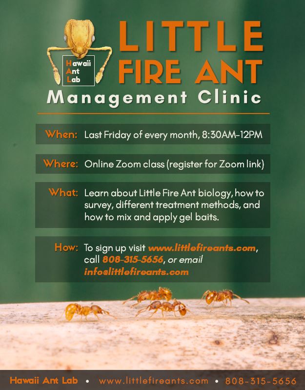 Ant Management Clinic Flyer