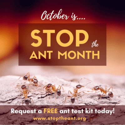 October is “Stop the Ant Month”