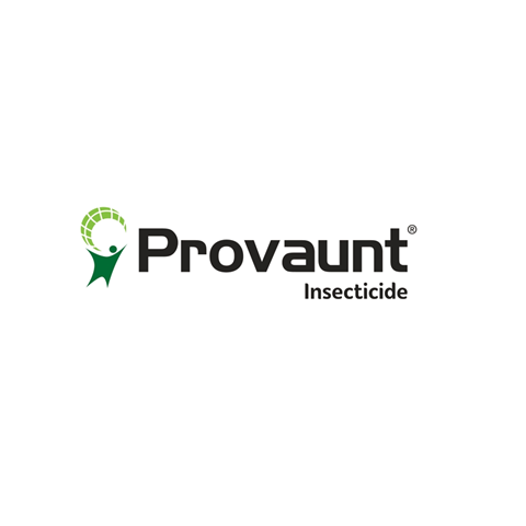 Provaunt logo