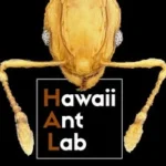 Hawaii Ant Lab